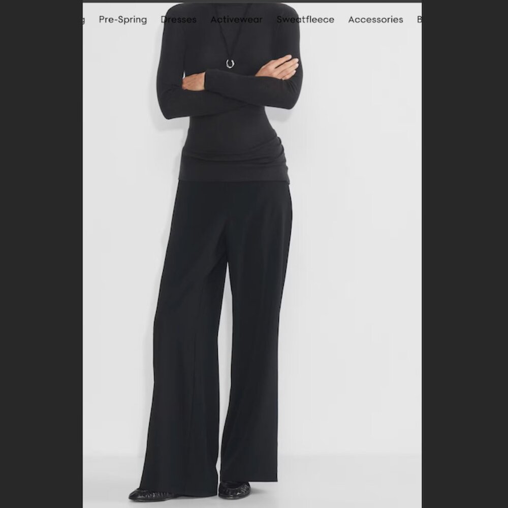 NWT Aritzia Babaton "Strive" Mid-Rise Wide-Leg Crepe pant sz XL